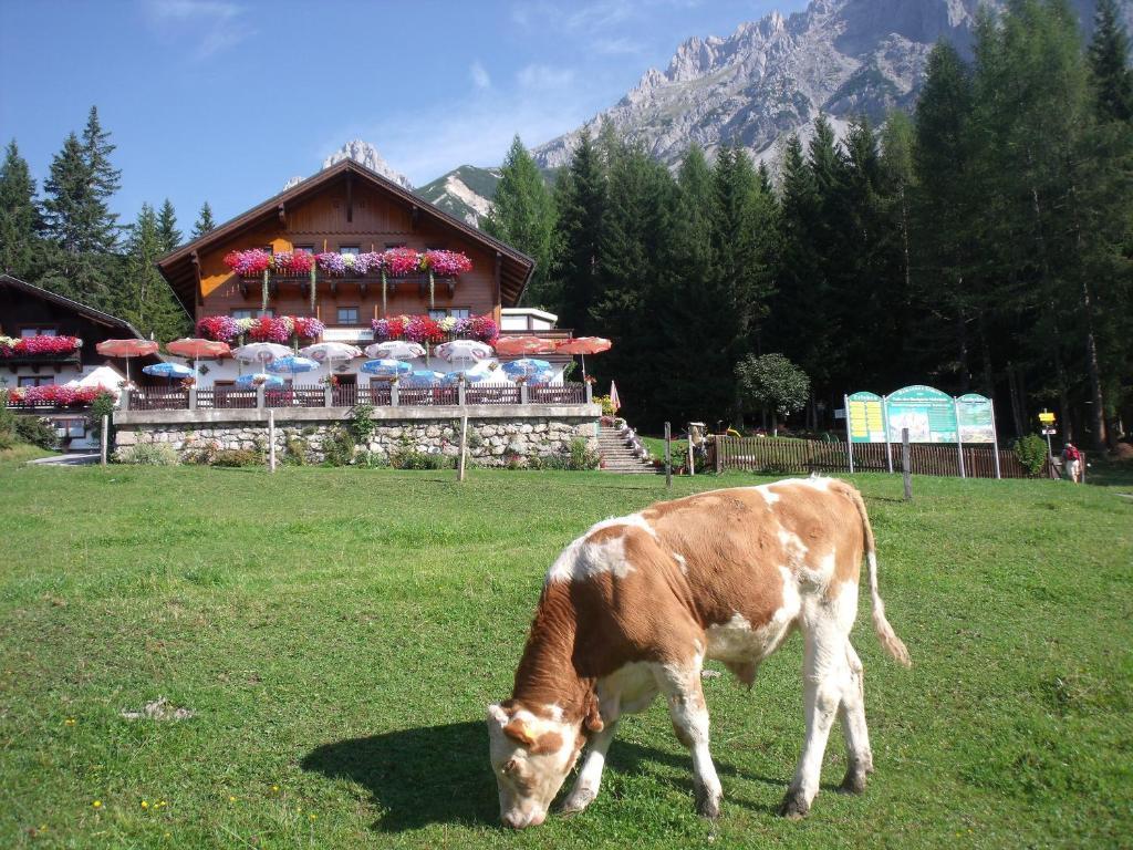 Gasthof Edelbrunn Hotel Рамзау ам Дахщайн Екстериор снимка